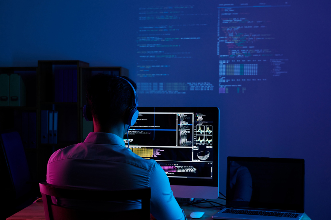 Web Development